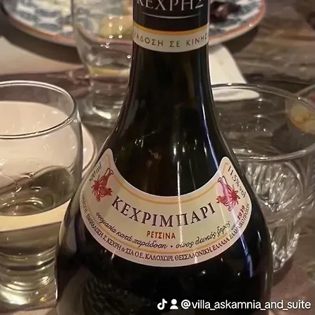 Hotel Askamnia And